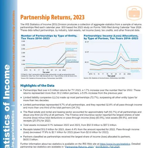 Document preview: Understanding IRS Publication 5338 for Partnership Insights — Taxes (CERFA n°PUB-5338)