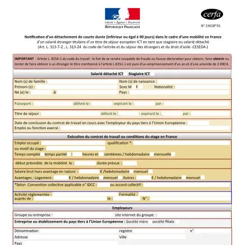 Aperçu du document Détachement temporaire en France : guide complet de la notification — Immigration & visas (CERFA n°15618*01)