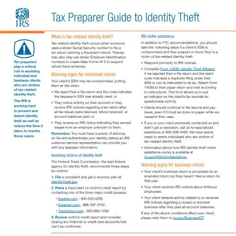 Document preview: IRS Publication 5199: Essential Guide to Preventing Identity Theft — Taxes (CERFA n°PUB-5199)