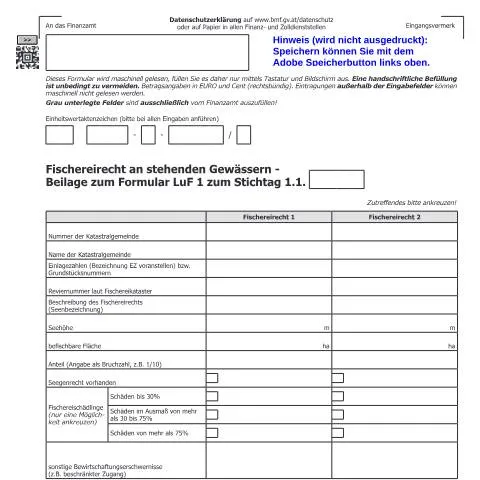 Dokumentvorschau: Wichtige Informationen zum LuF1-FS Formular — Steuern (CERFA n°LuF1-FS)