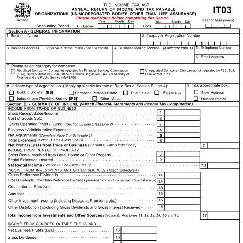 Document preview: Understanding the Jamaica IT03 2021/012022 Income and Tax Return Form — Taxes (CERFA n°IT03_2021_012022)