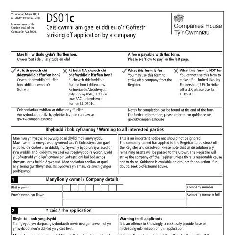 Document preview: Understanding the DS01c: Your Guide to Company Strike Off — Business