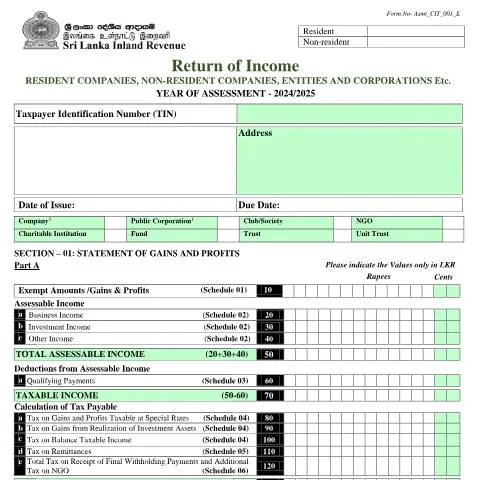 Document preview: Essential Insights on Return of Income Asmt_CIT_001_2024 — Taxes (CERFA n°Asmt_CIT_001_2024)
