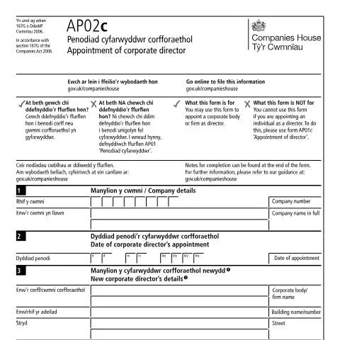 Document preview: Understanding the AP02c Form for Corporate Director Appointments — Government & admin