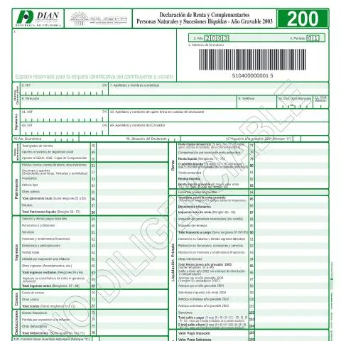 Vista previa del documento Importancia de la Declaración de Renta para Personas Naturales 2003 — Impuestos (CERFA n°F200-2004)