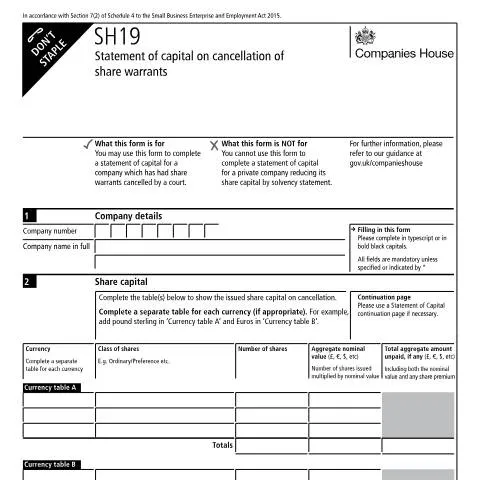 Document preview: Understanding the SH19 Form for Capital Reduction — Business