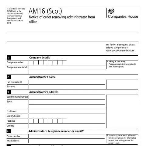 Document preview: Understanding the AM16 (Scot) Document for Administrators — Business
