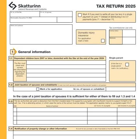 Document preview: Leiðbeiningar um RSK 1.10 skattaskýrsluna fyrir 2025 — Skattar & fjármál (CERFA n°RSK 1.10)