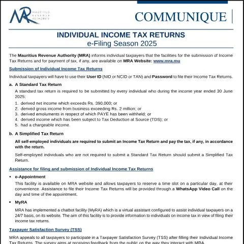 Document preview: Essential Guide to Individual Income Tax Returns e-Filing 2025 — Taxes (CERFA n°FilingSeason2025)