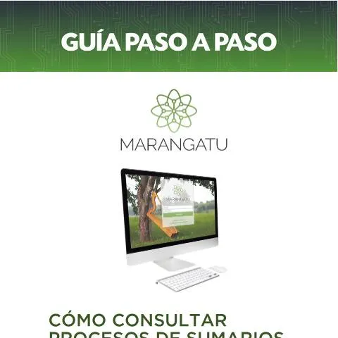 Vista previa del documento Cómo consultar procesos de sumarios administrativos en Paraguay paso a — Trámites administrativos