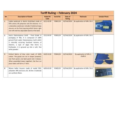 Document preview: Understanding the February 2024 Tariff Ruling Document — Government & admin (CERFA n°TRFeb2024)