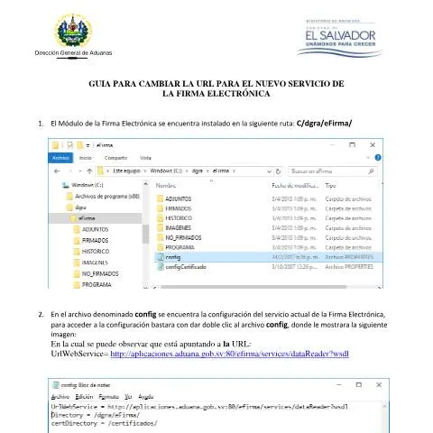 Vista previa del documento Transformación Digital en la Firma Electrónica: Guía para el Cambio de — Impuestos (CERFA n°700-DGA-GA-2018-0001)