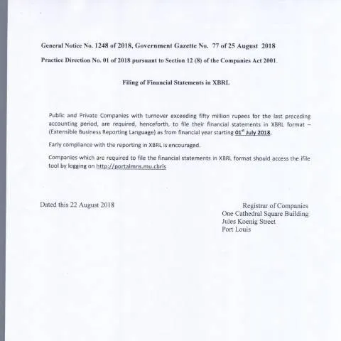 Document preview: Key Insights on Companies , GN 1248 of 2018 — Business (CERFA n°Companies-GN-1248-of-2018)