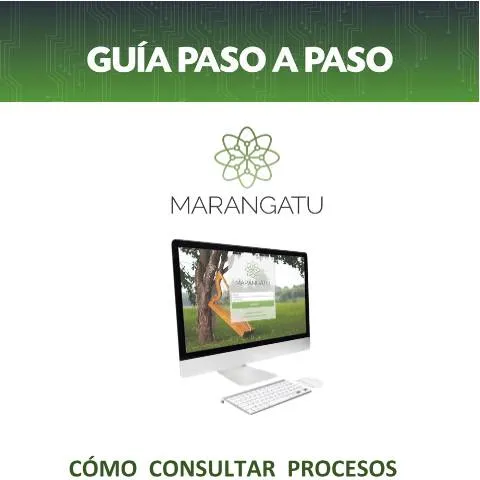 Vista previa del documento Cómo consultar procesos de Recursos de Reconsideración en Paraguay — Trámites administrativos