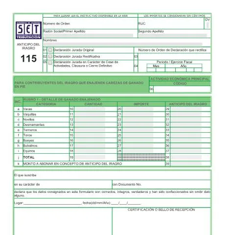 Vista previa del documento Formulario 115 Declaración Jurada Paraguay — Impuestos (CERFA n°F115)