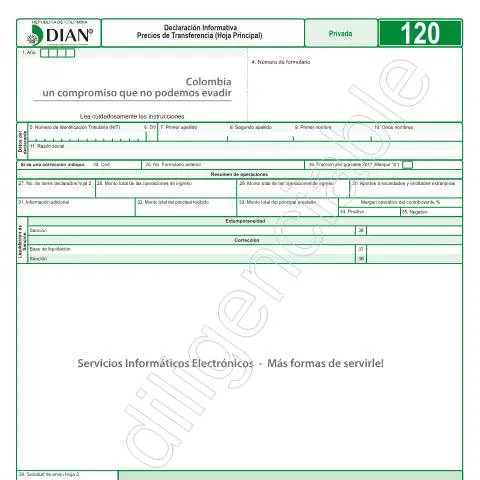 Vista previa del documento Importancia de la Declaración Informativa F120-2017 en Colombia — Impuestos (CERFA n°F120-2017)