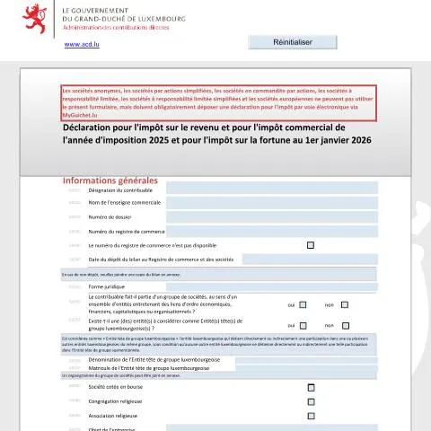 Aperçu du document Guide complet sur la déclaration 500 F pour l'impôt au Luxembourg — Impôts & fiscalité (CERFA n°500 F)
