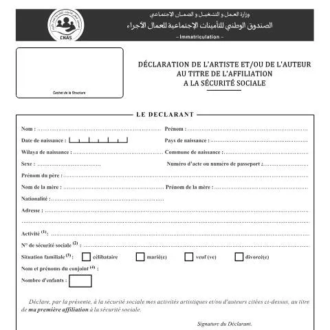 Aperçu du document Affiliation à la Sécurité Sociale : La Déclaration IM-04 pour Artistes — Emploi & travail (CERFA n°IM-04)