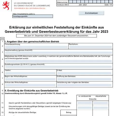 Aperçu du document Comprendre la déclaration unifiée des revenus pour les sociétés — Impôts & fiscalité (CERFA n°300 D)