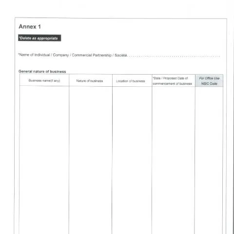 Document preview: Essential Insights on the Annex BRF1 for Business Setup — Government & admin (CERFA n°annexBRF1-1)