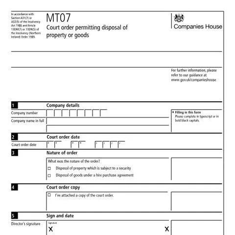 Document preview: Navigating the MT07 Court Order Process — Government & admin