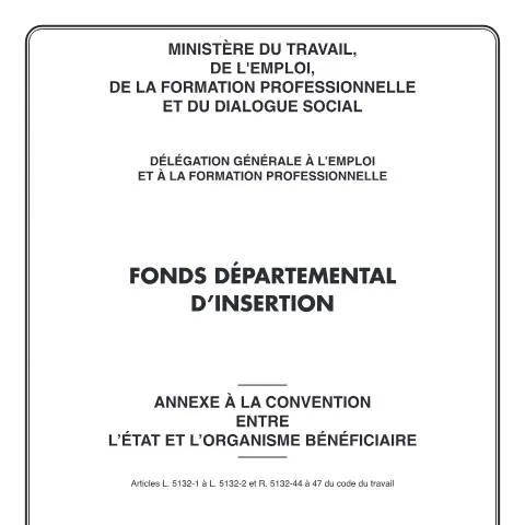 Aperçu du document Fonds départemental d'insertion : procédure de demande d'aide — Aides & prestations sociales (CERFA n°12605*03)