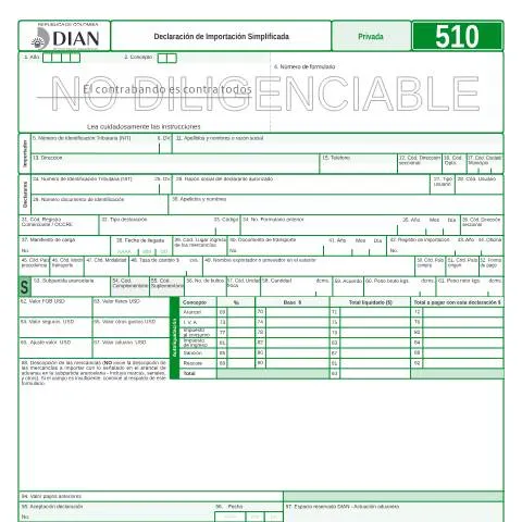 Vista previa del documento Importancia de la Declaración de Importación Simplificada F510-2010 — Impuestos (CERFA n°F510-2010)