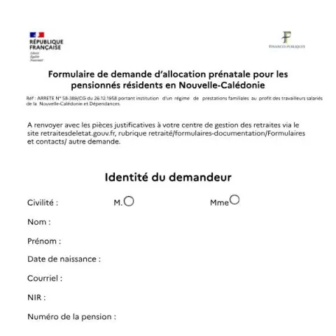 Aperçu du document Formulaire de demande d’allocation prénatale pour pensionnés en — Aides & prestations sociales (Cerfa 16264*01)