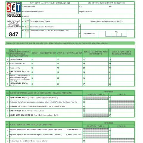Vista previa del documento Guía para completar el Formulario 847 en Paraguay — Impuestos (CERFA n°F847)