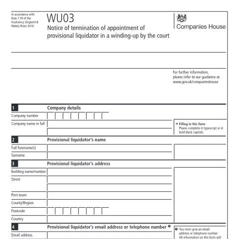 Document preview: WU03 Form: Key Insights on Terminating Provisional Liquidators — Business