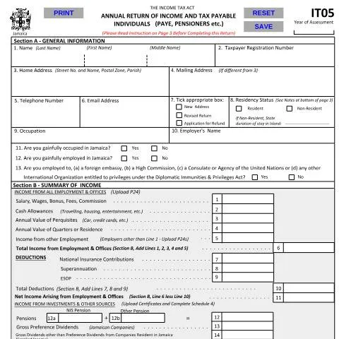 Document preview: Understanding the IT05 June 2024 Efillable Tax Return Form in Jamaica — Taxes (CERFA n°IT05+June+2024+Efillable)