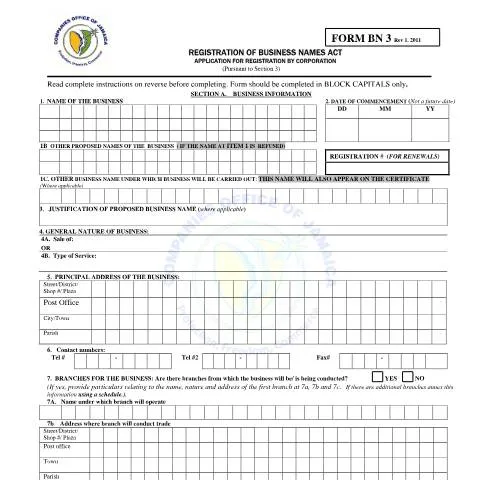 Document preview: Essential Guide to Form BN 3 for Business Name Renewal — Government & admin (CERFA n°BN 3 FORM Rev 1.2011)