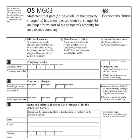Document preview: Navigating the OS MG03 for Overseas Companies — Government & admin