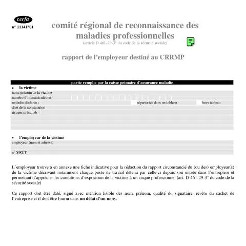 Aperçu du document Rapport employeur au CRRMP : obligations et procédure détaillée — Démarches administratives (CERFA n°11141*01)