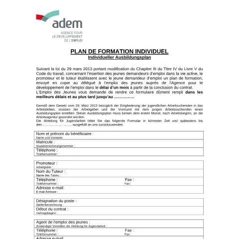 Aperçu du document Contrat d'initiation à l'emploi au Luxembourg : insertion et formation — Emploi & travail (CERFA n°Plan-de-formatio-general)