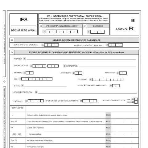 Pré-visualização do documento Compreendendo o Anexo R da Informação Empresarial Simplificada — Impostos