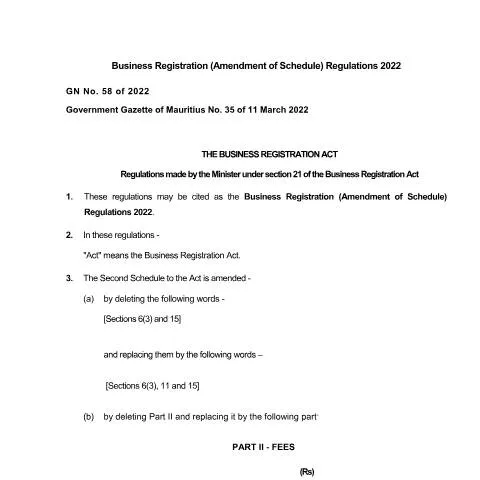 Document preview: The Significance of GN No. 58 of 2022 for Entrepreneurs — Government & admin (GN-No.-58-of-2022)