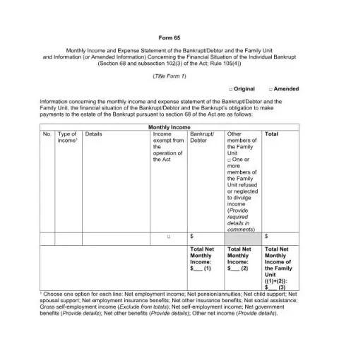 Document preview: Understanding Form 65: Monthly Income and Expense Statement — Legal & justice (Form 65)