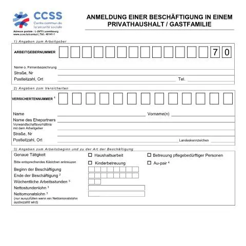Aperçu du document Formaliser une occupation dans un ménage privé au Luxembourg — Emploi & travail (CERFA n°ccss-formulaire-entree-menage)