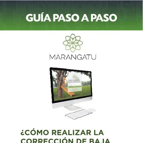 Vista previa del documento Guía para corregir bajas de documentos preimpresos en Paraguay — Trámites administrativos