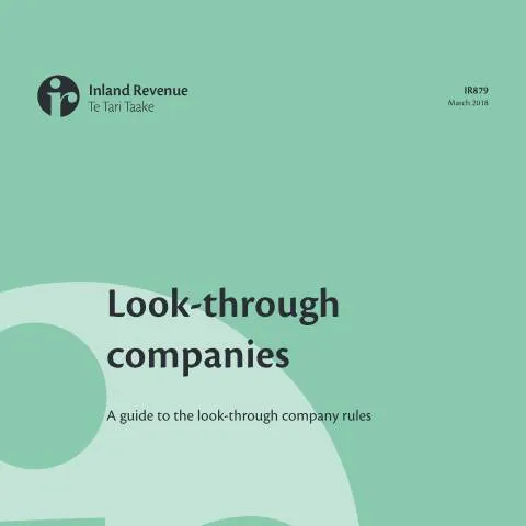 Document preview: A Deep Dive into Look-Through Companies and IR879 — Taxes (CERFA n°IR879)