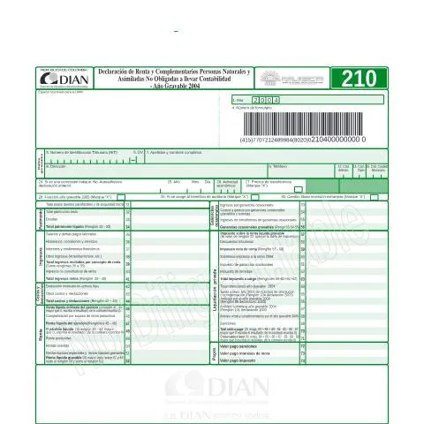 Vista previa del documento Relevancia de la Declaración de Renta F210-2005 en Colombia — Impuestos (CERFA n°F210-2005)
