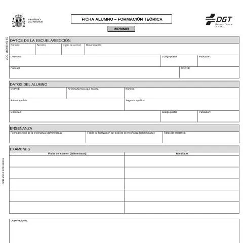 Vista previa del documento Modelo 11 de la DGT: Esencial para tu Permiso de Conducir — Trámites administrativos (CERFA n°11)