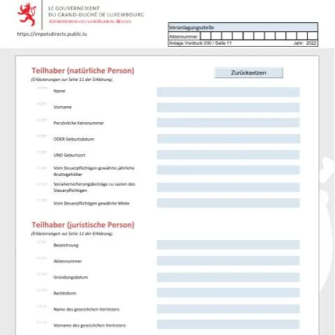 Aperçu du document Guide sur le formulaire Teilhaber pour les Associés au Luxembourg — Impôts & fiscalité (CERFA n°ass-d)
