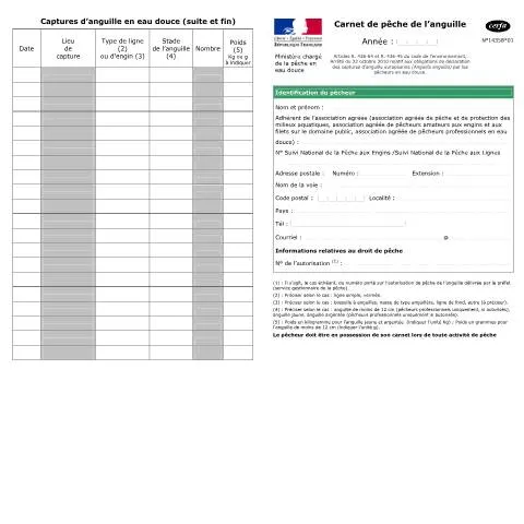Aperçu du document Formulaire 14358*01 : tout savoir sur le carnet de pêche anguille — Démarches administratives (CERFA n°14358*01)