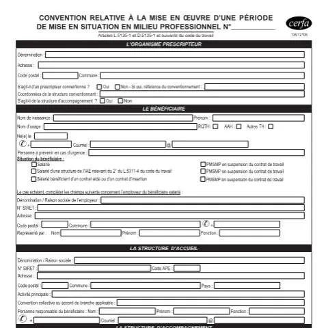 Aperçu du document Convention PMSMP : testez votre projet avec le formulaire 13912*05 — Emploi & travail (CERFA n°13912*05)