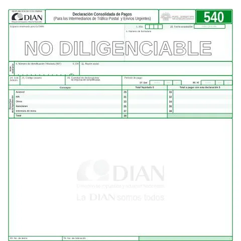 Vista previa del documento Guía sobre la Declaración Consolidada de Pagos F540-2006 — Impuestos (CERFA n°F540-2006)