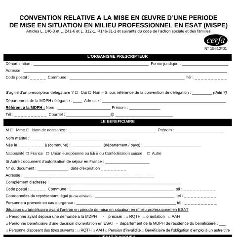 Aperçu du document MISPE en Ésat : convention et accompagnement professionnel adapté — Emploi & travail (CERFA n°15612*01)
