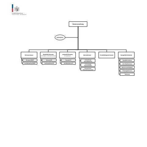 Dokumentvorschau: Überblick über das Organigramm der Steuerverwaltung von Liechtenstein — Behörden & Verwaltung (CERFA n°organigramm-stv)