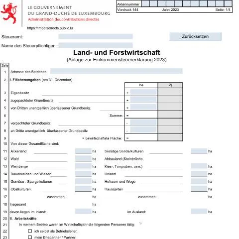 Aperçu du document Comprendre l'Anlage 144 D dans la fiscalité luxembourgeoise — Impôts & fiscalité (CERFA n°144 D)